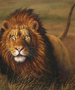 Grassland Beast Lion paint by number