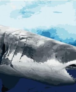 Great White Shark Paint By Number