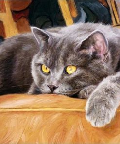 Grey Cat Paint By Number