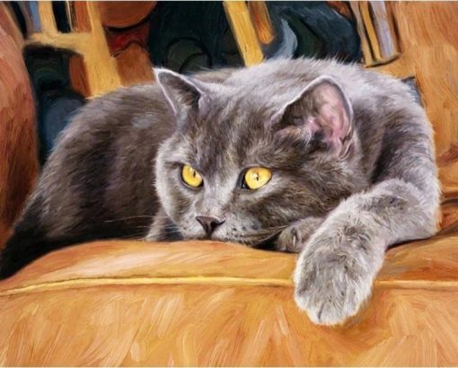 Grey Cat Paint By Number