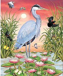 Grey Herons Birds paint by number