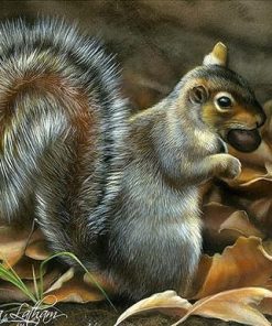 Grey Squirrel paint by number