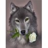 Grey wolf with Flower paint by number