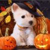 Halloween Dog paint by number