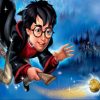 Harry Potter Flying Broom paint by number