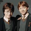 Harry potter And Ron Weasley paint by number