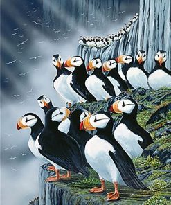 Horned Puffin Birds Paint By Number