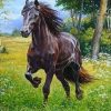 Horse In Forest Paint By Number