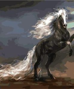 Horse With White Hair Paint By Number