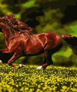 Horse Running In The Wild Paint By Number