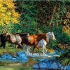 Horses Crossing The River Paint By Number