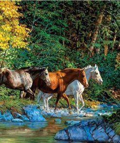 Horses Crossing The River Paint By Number