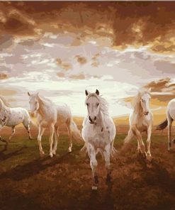 Horses Galloping At Sunset Paint By Number