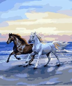 Horses On The Beach Paint By Number