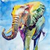 Hot Elephant Paint By Number