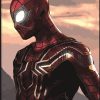 Iron Spiderman Paint By Number