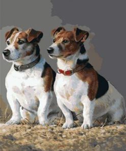 Jack Russell Dogs Paint By Number