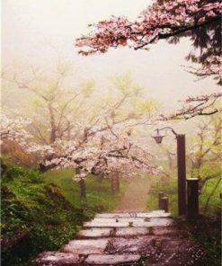 Japanese Cherry Blossom Trees Paint By Number