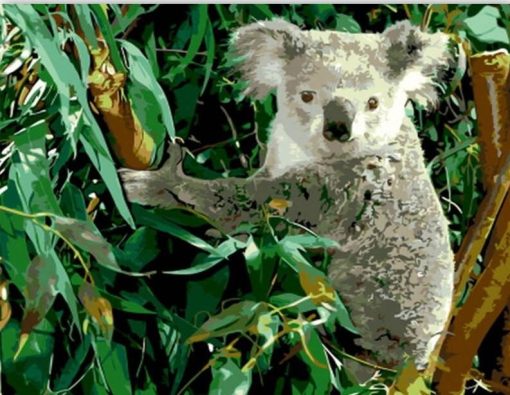 Koala Eucalyptus Paint By Number