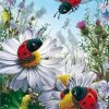 Ladybugs On Flowers paint by number