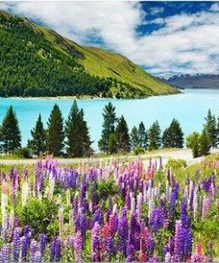 Lake Tekapo Paint By Number