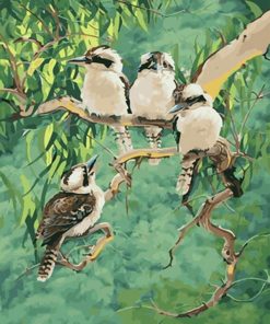 Laughing Kookaburra Birds Paint By Number