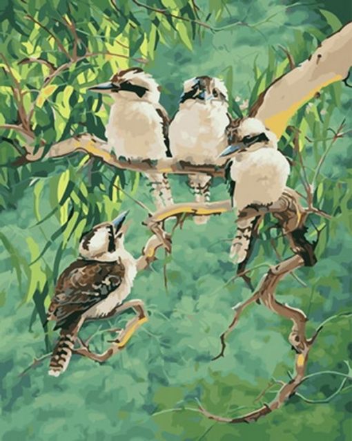 Laughing Kookaburra Birds Paint By Number