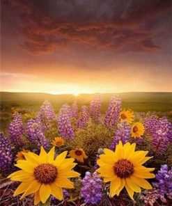 Lavender And Sunflower Paint By Number