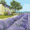 Lavenders Field and House Paint By Number