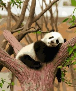 Lazy Panda Paint By Number