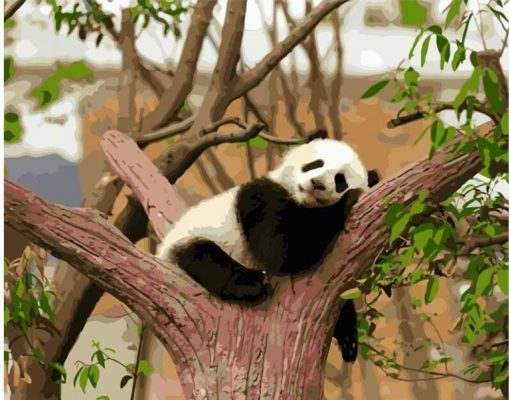 Lazy Panda Paint By Number