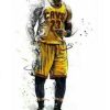 Lebron James Lakers Paint By Number