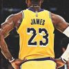 Lebron James Player Paint By Number