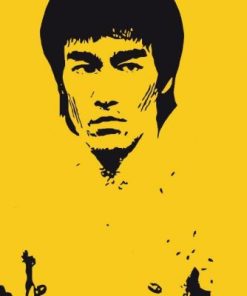 Legendary Bruce Lee Paint By Number