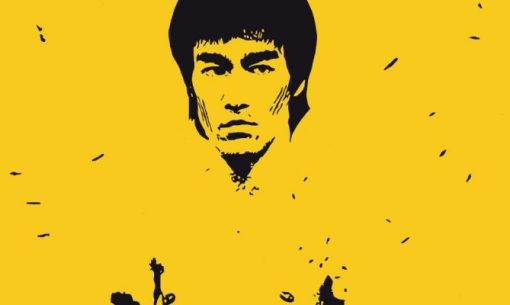 Legendary Bruce Lee Paint By Number