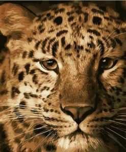 Leopard Animal Paint By Number