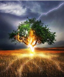 Lightning Tree Paint By Number