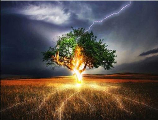 Lightning Tree Paint By Number