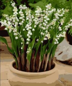 Lily of the Valley Paint By Number