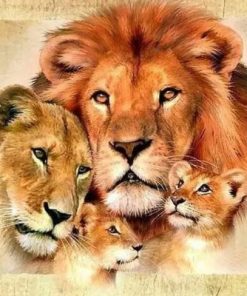 Lion Family Paint By Number