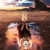 Lion and Cub Reflection Paint By Number