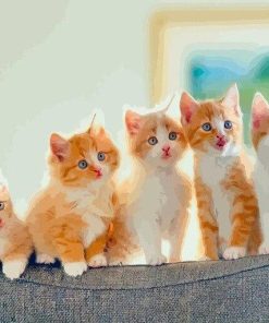 Little Kittens Paint By Number