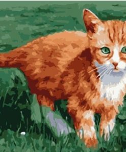 Little Orange Cat Paint By Number