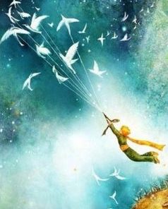 Little Prince Flying With Birds Paint By Number