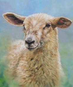 Little Sheep Paint By Number