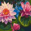 Lotus Flowers On Water Paint By Number