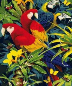 Macaw African Parrots Paint By Number