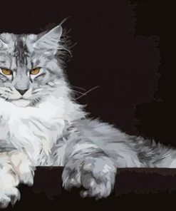 Maine Coon Cat Paint By Number