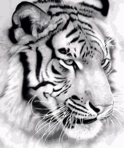 Majestic Tiger Paint By Number