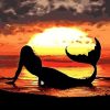 Mermaid At The Sunset Paint By Number